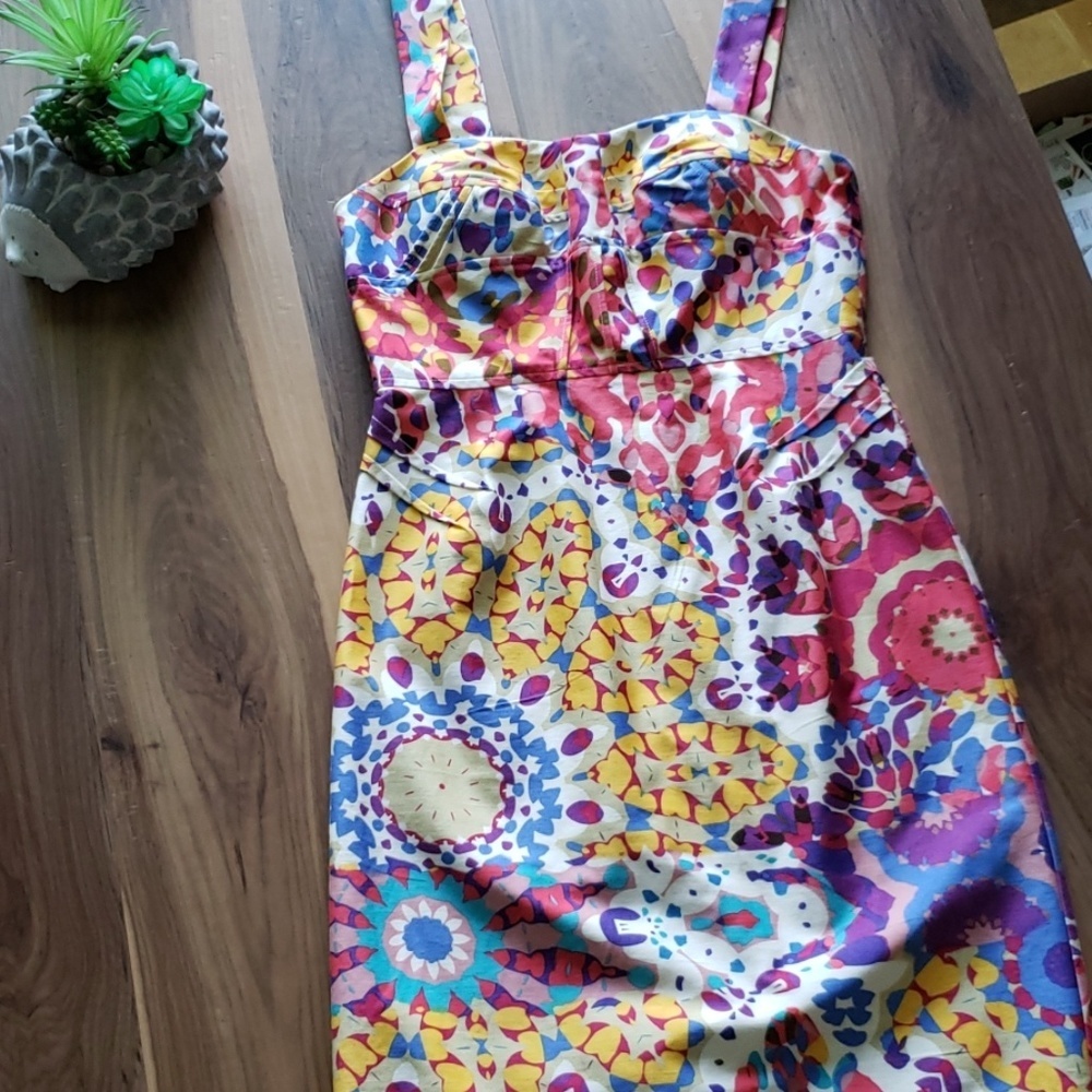 Suzi Chin for Maggie Boutique Print Dress.